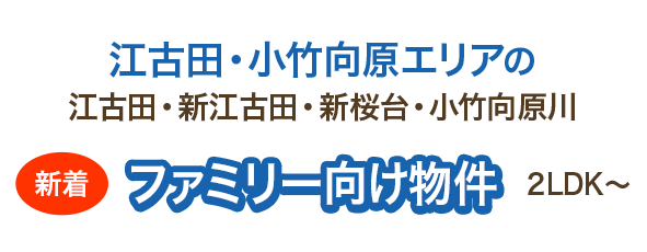 江古田・小竹向原エリアの 江古田・新江古田・新桜台・小竹向原 新着 ファミリー向け物件 2DK～